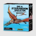 4M - 4M KidzLabs Dig a Pteranadon Skeleton - Educational & Science Toys (Brown) 4M - KidzLabs - Dig a Pteranadon Skeleton