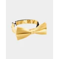Abelard - Satin Silk Bow Tie - Ties & Cufflinks (LEMON) Satin Silk Bow Tie