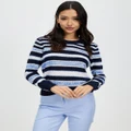 David Lawrence - Vienne Striped Knit - Jumpers & Cardigans (Midnight & Cameo Blue) Vienne Striped Knit