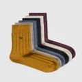 Sockdaily - Acorns 6 Pack Quarter Socks - Accessories (Multi) Acorns 6 Pack Quarter Socks