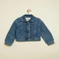 Abercrombie & Fitch - Denim Jacket Kids Teens - Denim jacket (Medium Wash) Denim Jacket - Kids-Teens