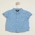 Animal Crackers - Dawn Shirt Babies Kids - Shirts & Polos (Blue) Dawn Shirt - Babies-Kids