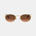 Ray-Ban - Round Metal RB3447 - Sunglasses (Bronze & Copper Pink Gradient Brown) Round Metal RB3447