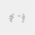 Forcast - Calia Sterling Silver Plated Earrings - Jewellery (Silver) Calia Sterling Silver Plated Earrings