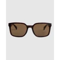 Quiksilver - Warlock Sunglasses - Sunglasses (BROWN TORTOISE/BROWN) Warlock Sunglasses