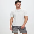 Calvin Klein Performance - SS Graphic Tee - Short Sleeve T-Shirts (Vaporous Gray) SS Graphic Tee
