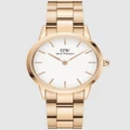 Daniel Wellington - Iconic Link 32mm - Watches (Rose gold) Iconic Link 32mm