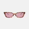 Miu Miu - 0MU 02ZS - Sunglasses (Brown) 0MU 02ZS