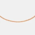 Daniel Wellington - Elan Twisted Chain Necklace Short - Jewellery (Rose Gold) Elan Twisted Chain Necklace Short