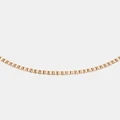 Daniel Wellington - Elan Box Chain Necklace Short - Jewellery (Rose Gold) Elan Box Chain Necklace Short