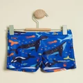 Speedo - Toddler Boys Shark Aqua Shorts Kids - Briefs (Cobalt Blue, Lobster & Canary) Toddler Boys Shark Aqua Shorts - Kids