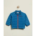 Patagonia - Down Sweater Babies - Coats & Jackets (Wavy Blue) Down Sweater - Babies