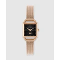 Ted Baker - TALIAH - Watches (Rose Gold) TALIAH