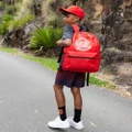 Santa Cruz - MFG Dot Backpack Teens - Backpacks (Red) MFG Dot Backpack - Teens