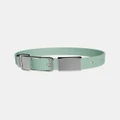 Frank Green - Pet Collar Small Mint Gelato with Name Tag - Home (Mint Gelato Silver) Pet Collar Small Mint Gelato with Name Tag