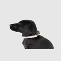 Mog & Bone - Rope & Leather Dog Collar Natural - Home (Natural) Rope & Leather Dog Collar- Natural