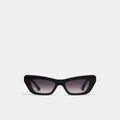 MIMCO - Dune Sunglasses - Sunglasses (Black) Dune Sunglasses