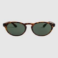 Roxy - Ivi P Polarized Sunglasses For Women - Sunglasses (TORTOISE BROWN/GREEN PLZ) Ivi P Polarized Sunglasses For Women
