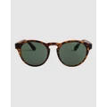 Roxy - Ivi P Polarized Sunglasses For Women - Sunglasses (TORTOISE BROWN/GREEN PLZ) Ivi P Polarized Sunglasses For Women