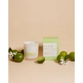 Palm Beach Collection - Jasmine & Lime 420g Scented Soy Candle - Home Fragrance (Green) Jasmine & Lime 420g Scented Soy Candle