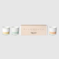 Palm Beach Collection - Mini Trio Candle Pack - Home Fragrance (Stone) Mini Trio Candle Pack