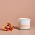 Palm Beach Collection - Watermelon 420g Scented Soy Candle - Home Fragrance (Orange) Watermelon 420g Scented Soy Candle