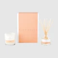 Palm Beach Collection - Watermelon Mini Candle & Diffuser Gift Pack - Home Fragrance (Orange) Watermelon Mini Candle & Diffuser Gift Pack