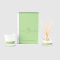 Palm Beach Collection - Jasmine & Lime Mini Candle & Diffuser Gift Pack - Home Fragrance (Green) Jasmine & Lime Mini Candle & Diffuser Gift Pack