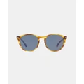 Persol - Persol Galleria PO3152S - Sunglasses (Brown & Blue) Persol Galleria PO3152S