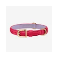 Maison De Sabre - The Dog Collar - Home (Pink) The Dog Collar
