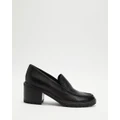 Mollini - Bonnee Heels - Mid-low heels (Black & Black Heel) Bonnee Heels