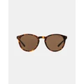 Polo Ralph Lauren - Flair PH4110 - Sunglasses (Havana & Brown) Flair PH4110