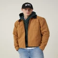 Cotton On - Cropped Worker Jacket - Coats & Jackets (BROWN) Cropped Worker Jacket