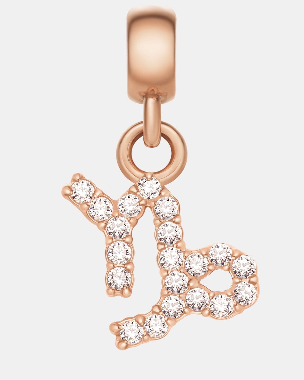 Daniel Wellington - Charm Zodiac Sign Capricorn - Jewellery (Rose Gold) Charm Zodiac Sign Capricorn
