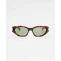 Saint Laurent - SL638003 - Sunglasses (Havana) SL638003