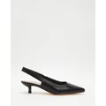 Mollini - Canzes Heels - Mid-low heels (Black) Canzes Heels