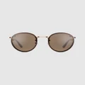 Daniel Wellington - Arch Steel Brown Sunglasses - Sunglasses (Brown/Rose Gold) Arch Steel Brown Sunglasses