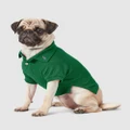 Polo Ralph Lauren - Cotton Mesh Dog Polo Shirt - Pets (Solid New Forest) Cotton Mesh Dog Polo Shirt