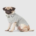 Polo Ralph Lauren - Cotton Mesh Dog Polo Shirt - Pets (Solid Andover Heather) Cotton Mesh Dog Polo Shirt