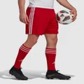 adidas Performance - Squadra 21 Football Shorts Mens - Shorts (Red) Squadra 21 Football Shorts Mens