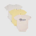 Tommy Hilfiger - Body 3 Pack Giftbox Babies - Dresses & Onesies (Faint Pink) Body 3 Pack Giftbox - Babies