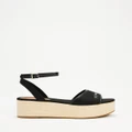 Tommy Hilfiger - Im Platform Signature Sandals - Mid-low heels (Black) Im Platform Signature Sandals