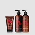 Silk Oil of Morocco - Discover Volume Value Pack - Hair (Red) Discover Volume - Value Pack
