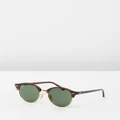 Ray-Ban - Clubround RB4246 - Sunglasses (RED HAVANA GREEN) Clubround RB4246