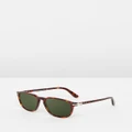 Persol - Persol Galleria PO3019S - Sunglasses (Havana & Crystal Green) Persol Galleria PO3019S