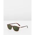 Persol - Persol Galleria PO3019S - Sunglasses (Havana & Crystal Green) Persol Galleria PO3019S