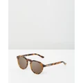 Hawkers Co - HAWKERS Carey Rose Gold WARWICK X Sunglasses for Men and Women UV400 - Sunglasses (Brown & Pink) HAWKERS - Carey Rose Gold WARWICK X Sunglasses for Men and Women UV400