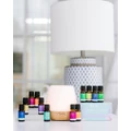 ECO. Modern Essentials - ECO. Bliss Diffuser & Ultimate Wellbeing Collection - Home (ECO. Bliss Diffuser & Ultimate Wellbeing Collection) ECO. Bliss Diffuser & Ultimate Wellbeing Collection
