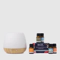 ECO. Modern Essentials - ECO. Bliss Diffuser & Well loved Blends Collection - Home (ECO. Bliss Diffuser & Well-loved Blends Collection) ECO. Bliss Diffuser & Well-loved Blends Collection