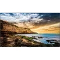 Samsung QE50T 50” UHD Commercial Display [LH50QETELGCXXY]